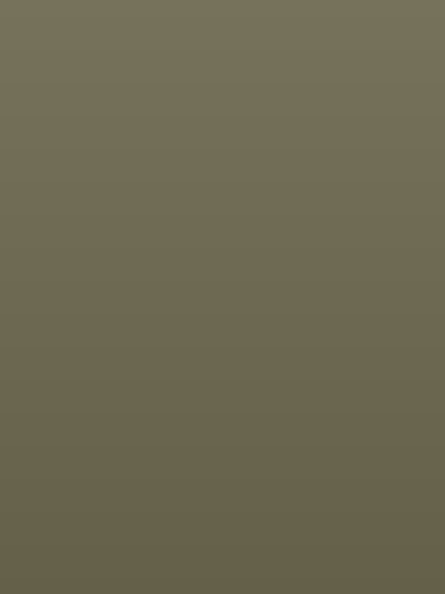 Twist Front Long Sleeve in Burnt Olive — colour preview